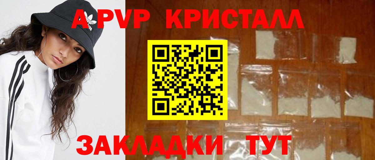 Alfa_PVP СК КРИС Усть-Джегута