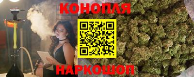 крисы Заводоуковск