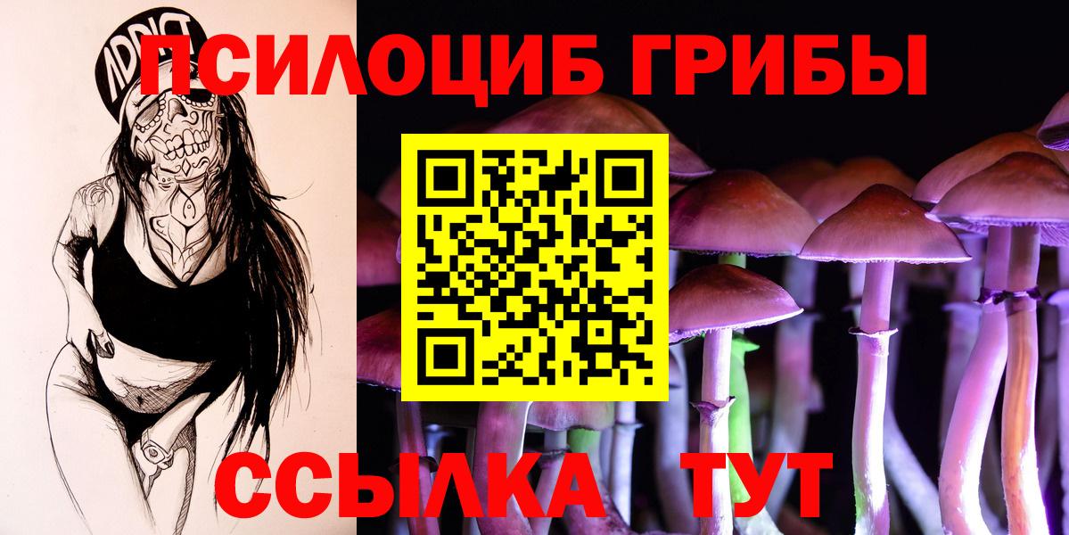 Псилоцибиновые грибы GOLDEN TEACHER Усть-Джегута
